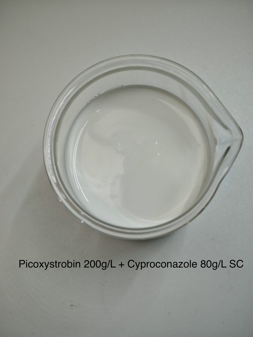 Picoxystrobin 200g/L + Cyproconazole 80g/L SC